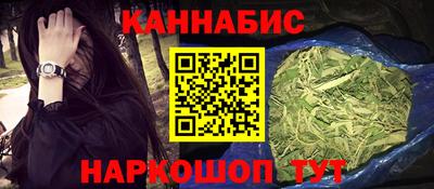 крисы Гагарин