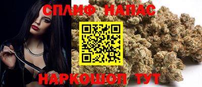 крисы Гагарин