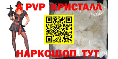 крисы Гагарин