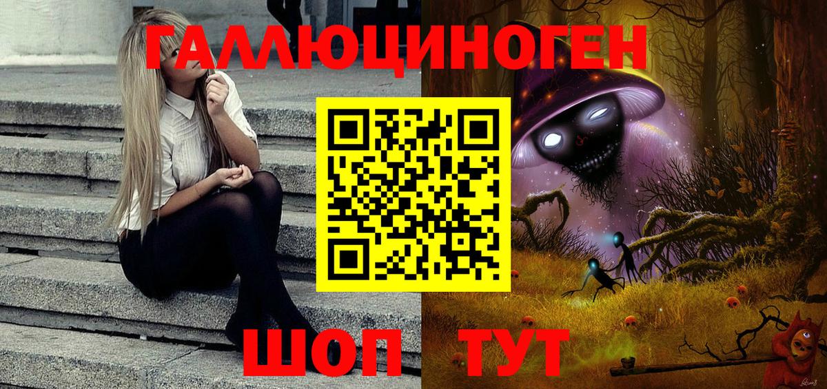 Псилоцибиновые грибы Psilocybine cubensis Сертолово